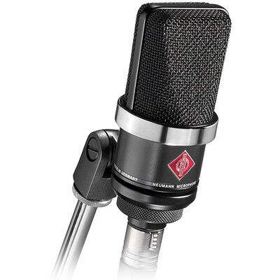 Neumann TLM 102